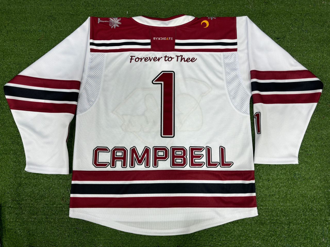 Carolina Women's Hockey Custom Sublimated Jersey (White)